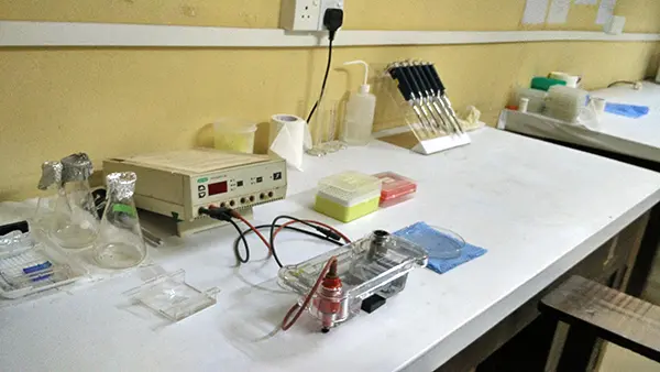 Vector Biology Research  Laboratory